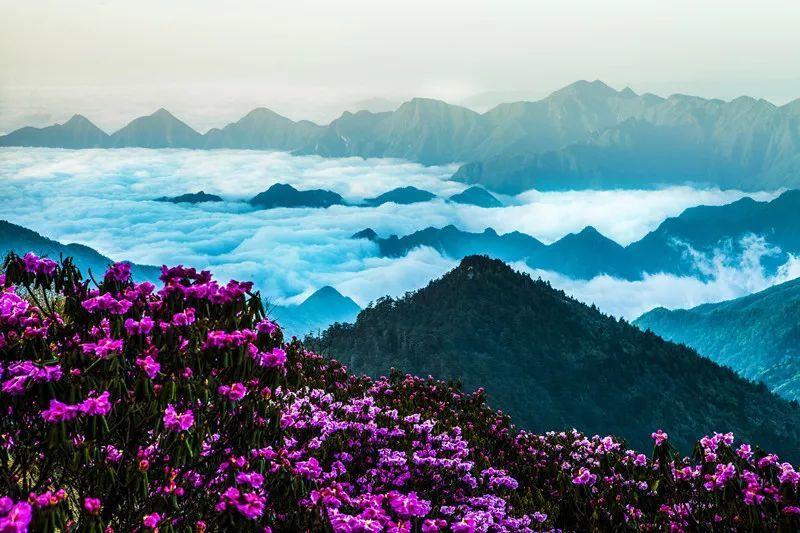 遍插茱萸少一人全诗——高效解答,即点即问